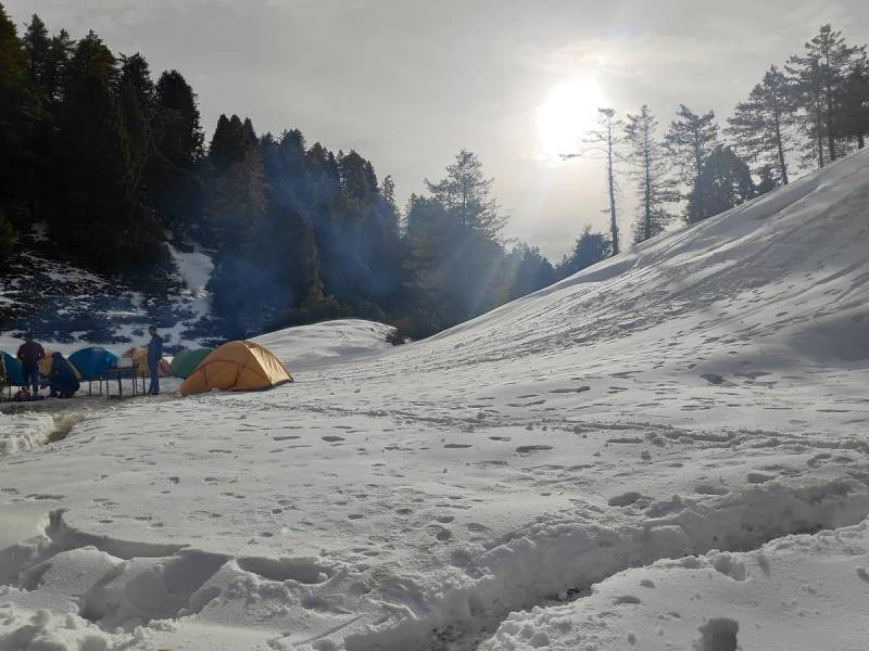Prashar Lake Trek  Baggi