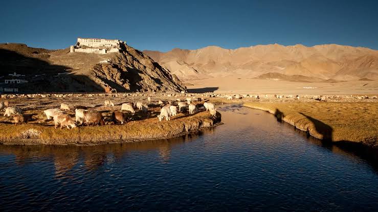 Manali to Leh Ladakh Srinager Tour Packages 9 Night 10 Days