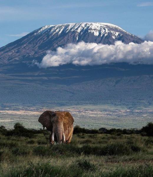 3 Days 2 Nights Of Discovering The Wildlife Of Amboseli