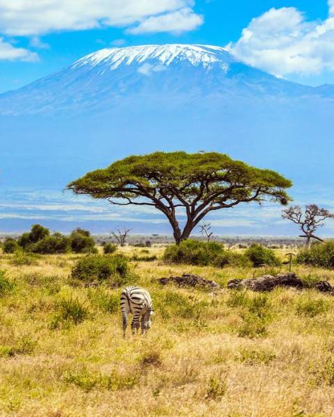 3 Days 2 Nights of Discovering the Wildlife of Amboseli