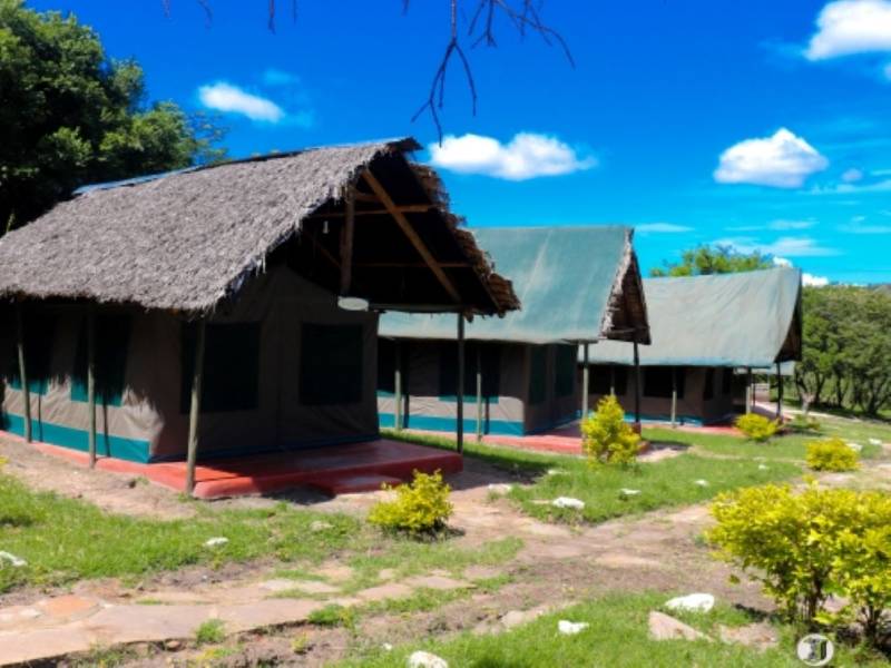 3 Days 2 Nights Masai Mara group tour