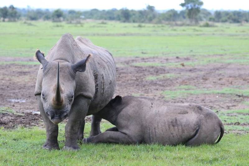 3 Days 2 Nights Masai Mara group tour