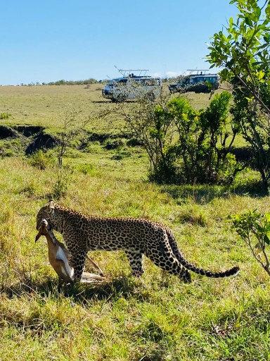 3 Days Masai Mara Joining Group