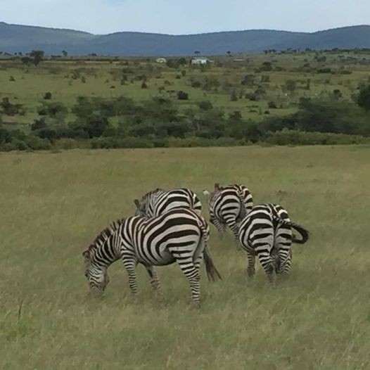 3 Days Masai Mara Joining Group