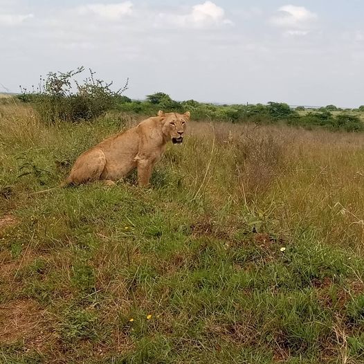 3 Days Masai Mara Joining Group