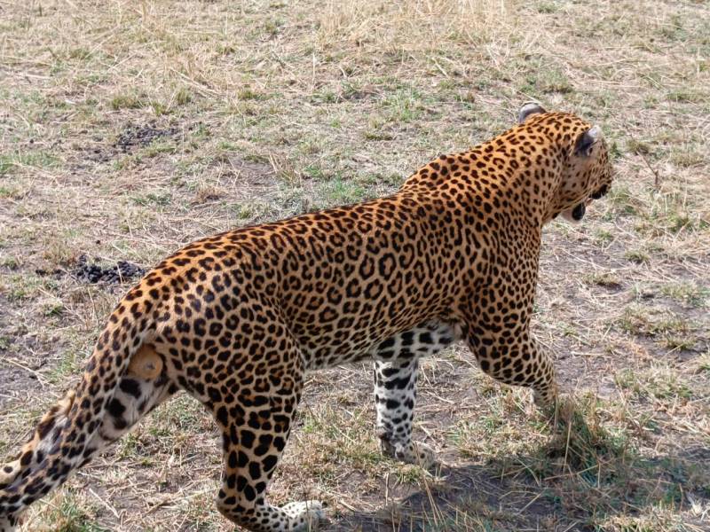 4 Days Budget Group Joining Safari Tour