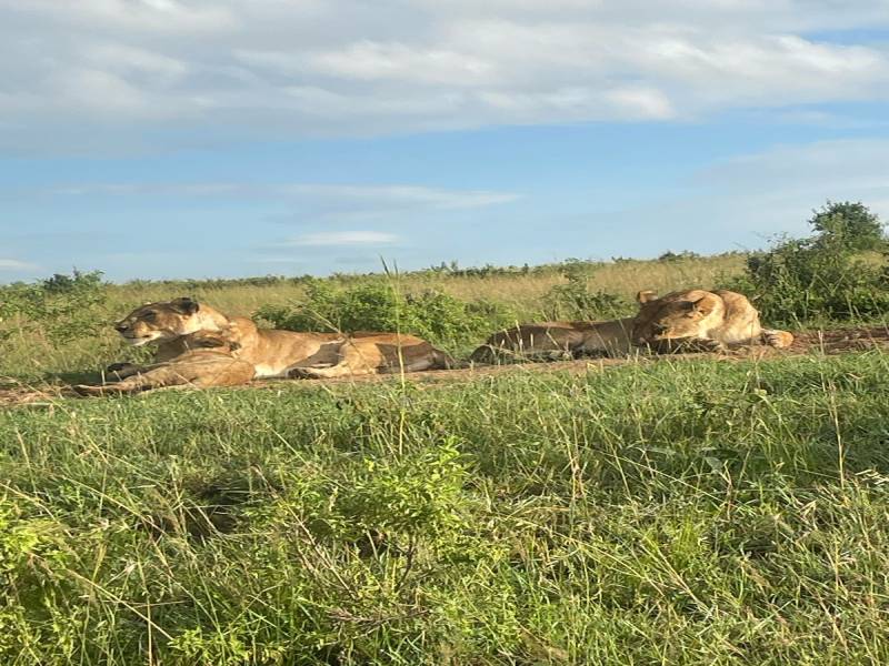 3 Days Budget Group Joining Safari Tour