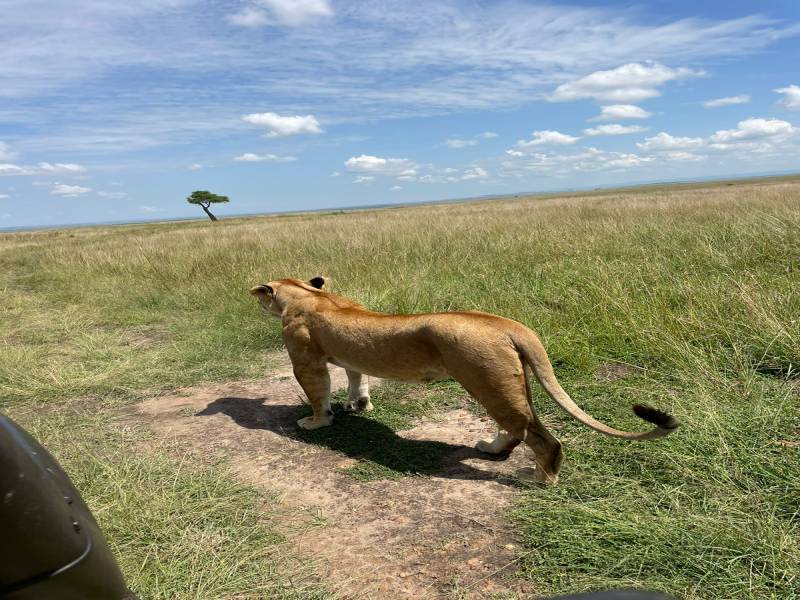 3 Days Budget Group Joining Safari Tour