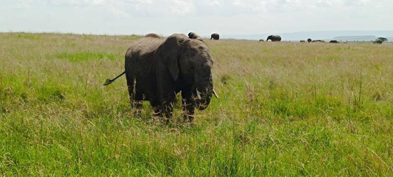 5 Days Budget Group Joining Safari Tour