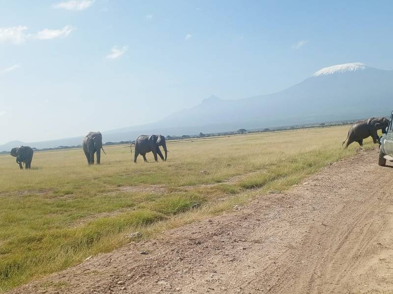 5 Days Budget Group Joining Safari Tour