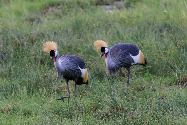 6 Days Budget Group Joining Safari Tour