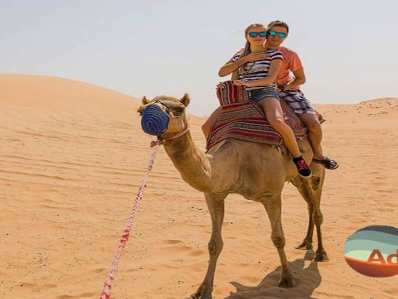 7-Hour Share Evening Desert safari with BBQ Dinner