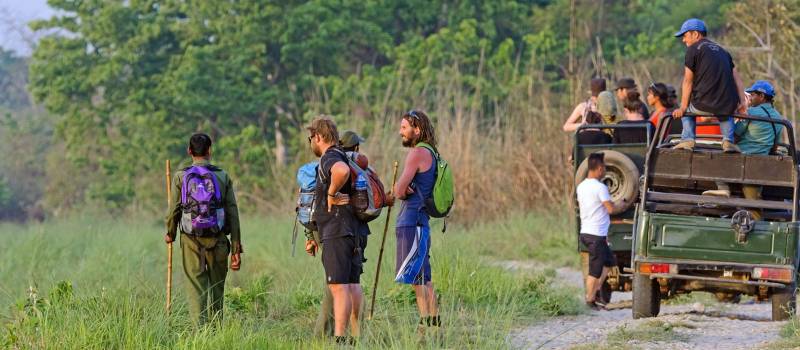 Chitwan Jungle Safari