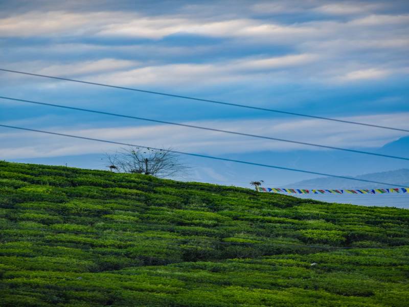 4 Day 3 Night Package For South Sikkim