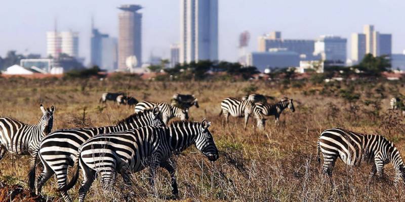 11 Days Maasai Mara, Lake Nakuru, Amboseli, Tsavo and Mombasa/Beach Safari.