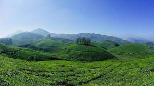 Cochin Munnar Alleppey Tour