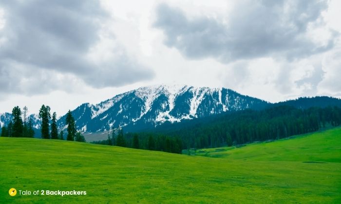 Exortic Camping Trip