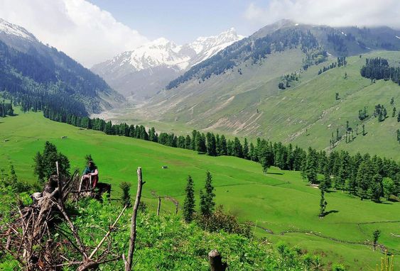 Exortic Camping Trip