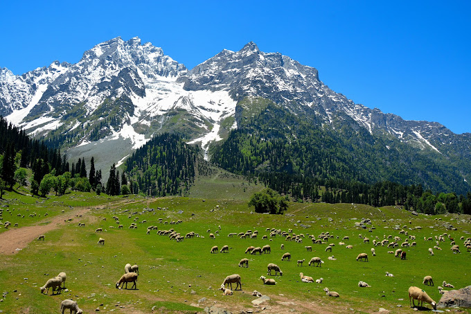 Unreal Kashmir Tour Package