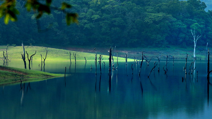 5 Night / 6 Day - Thekkady -Trivandrum - Kannyakumari