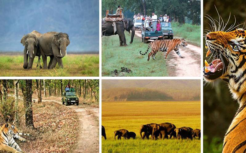 5N & 6D Nainital & Jim Corbett