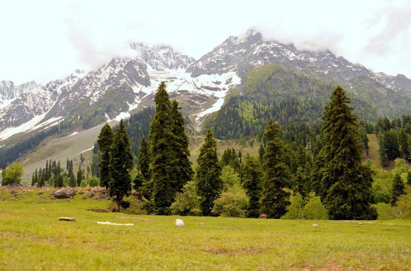 Romantic Kashmir Package