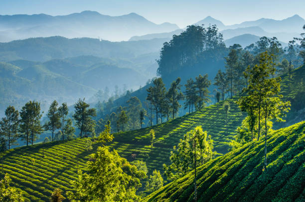 Splendid Darjeeling Weekend Trip Package