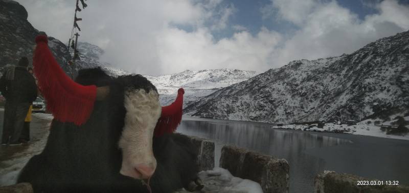 8 Night 9 Days Sikkim - Darjeeling Tour Packages