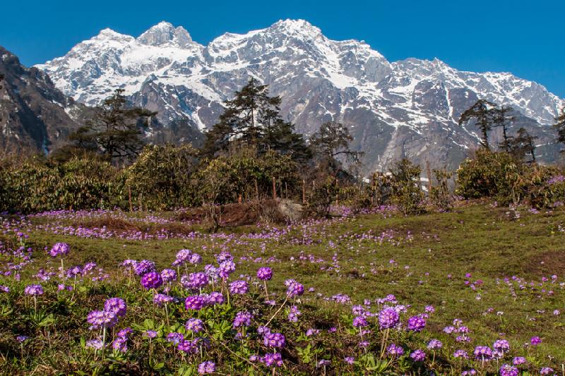 3 Night 4 Days Gangtok to North Sikkim.