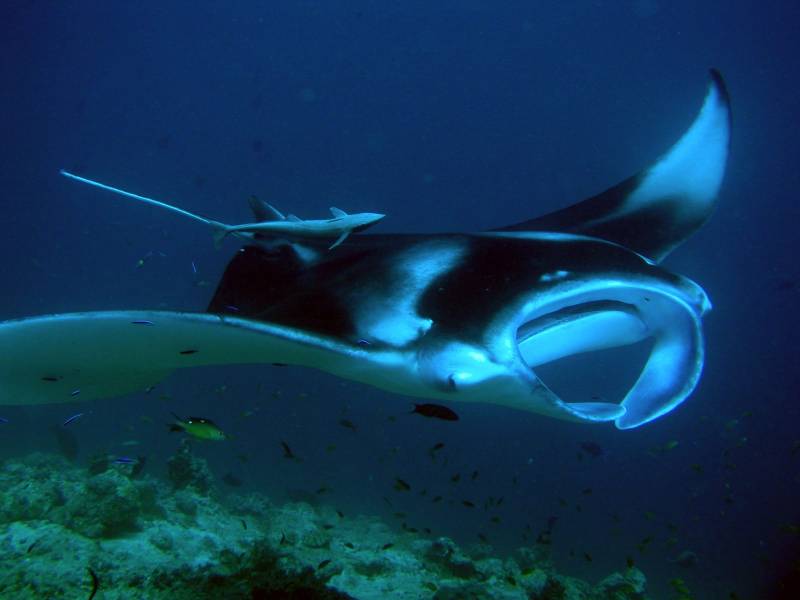 6 Days 5 Nights Maldives Package