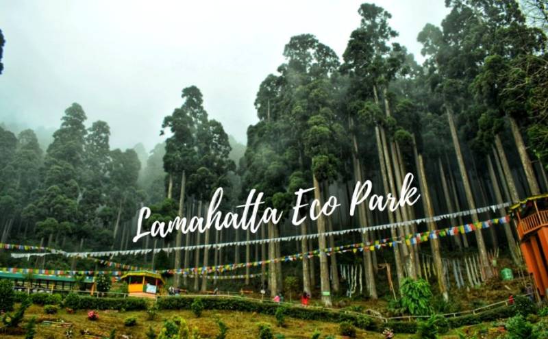 5 Nights 6 Days Gangtok Darjeeling Tour