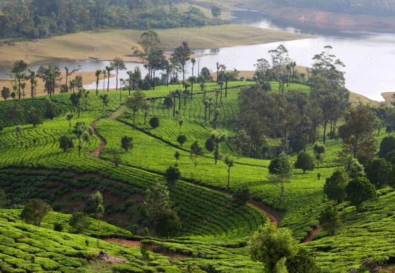 4 Nights 5 Days Kerala  Tour Package by Cab