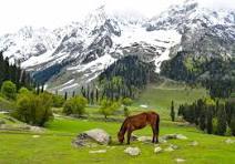 6 Days 5 Nights Kashmir Package