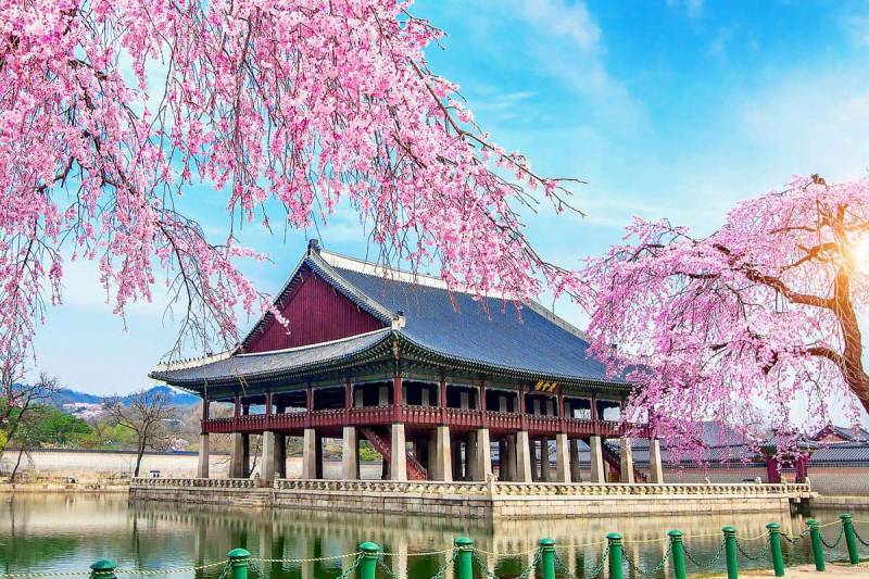 Discover Korea - Taiwan 12N 13D Package Image