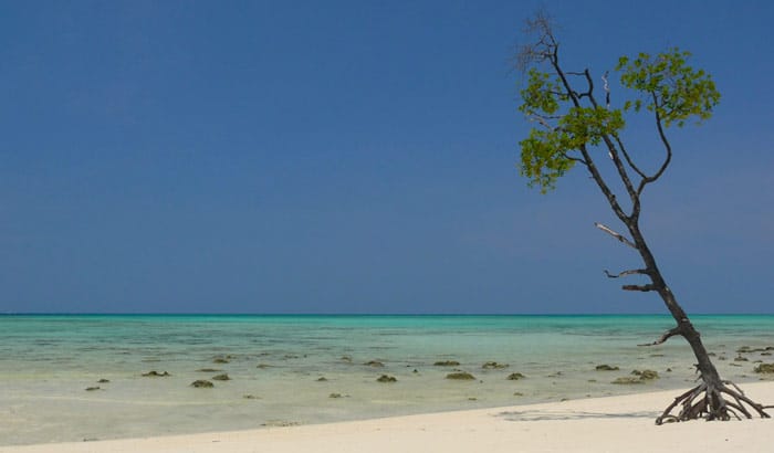 03 Nights - 04 Days Wonderful Andaman