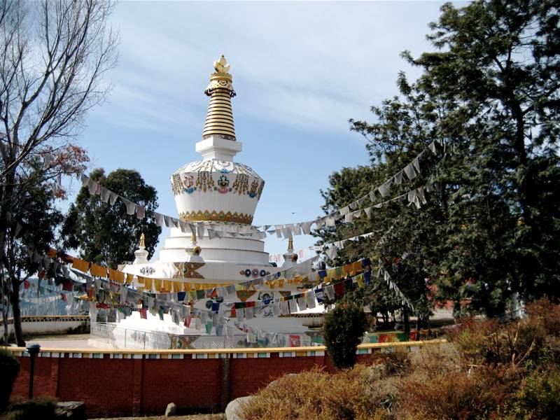 Explore Bir & Barot (Starting from Delhi)