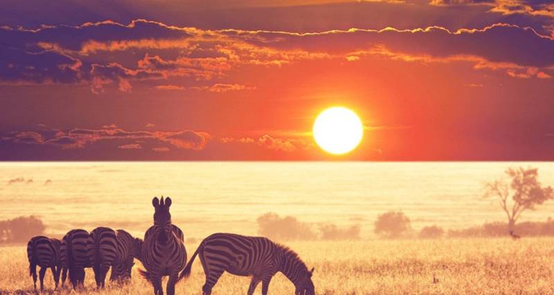 7 Days Big Five Luxury Safari in Tanzania