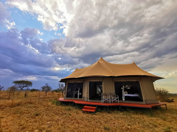 7 Days Big Five Luxury Safari in Tanzania