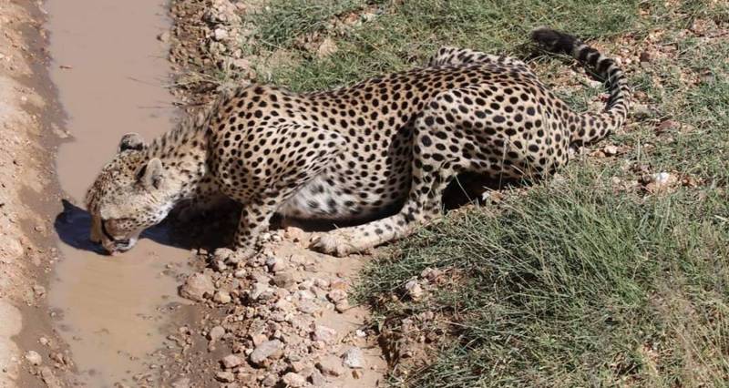 Timeless Tarangire National Park Add-on Tanzania