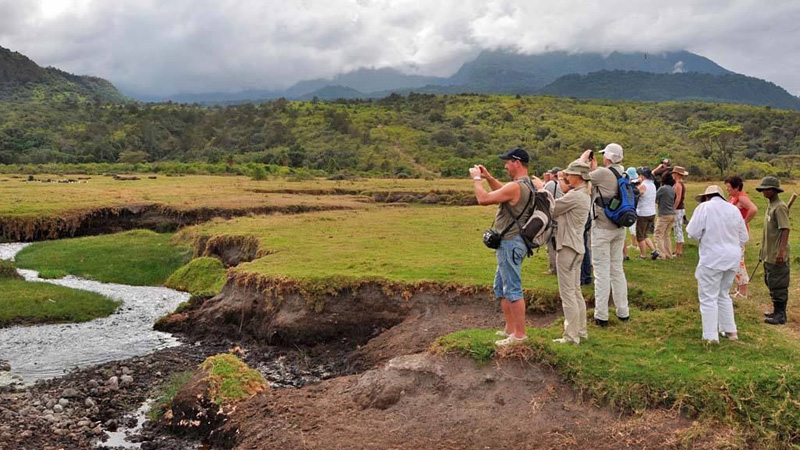 Off the Beaten Track Safari in Ikoma Tanzania