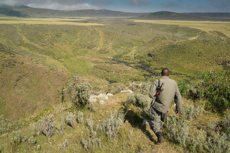 Short n Sweet Safari - Add-on Tanzania