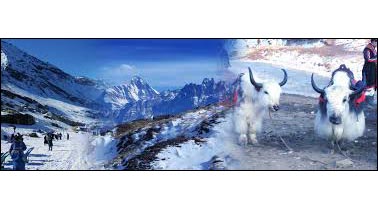 Shimla Manali Darshan Tour 5 Nights - 6 Days