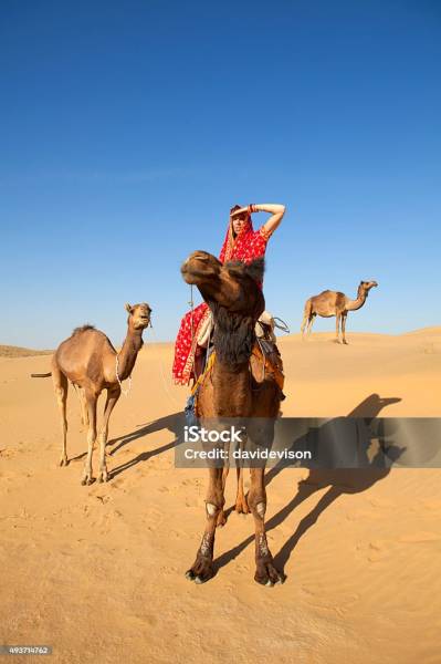 5 Nights 6 Days Rajasthan Tour Packages