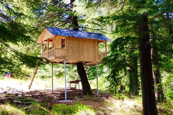 3 Night 4 Days Janjehli, Shikari Mata Temle, Mnrega Park , Bhulah Tour Package