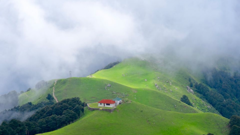 3 Night 4 Days Janjehli, Shikari Mata Temle, Mnrega Park , Bhulah Tour Package