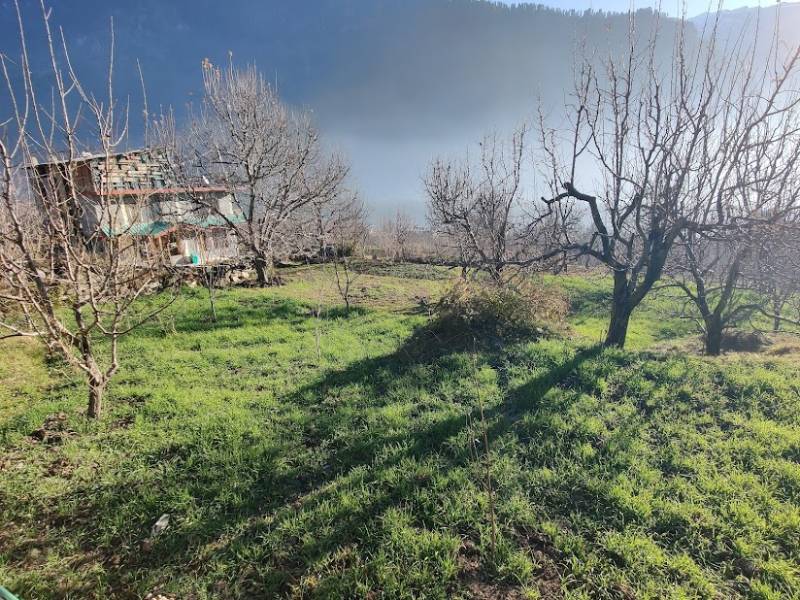 3 Nights 4 Days Delhi to Manali Tour Package