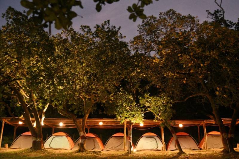 Dandeli Tour Package