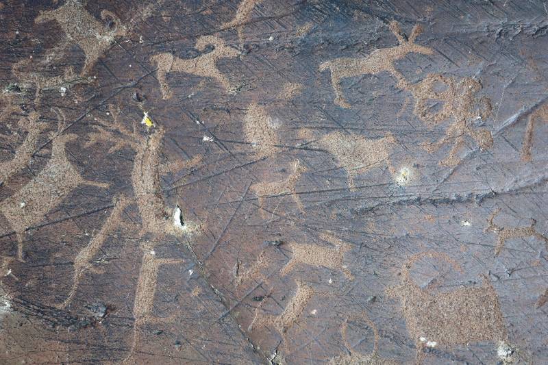 Golden Eagle Festival in Mongolia Tour