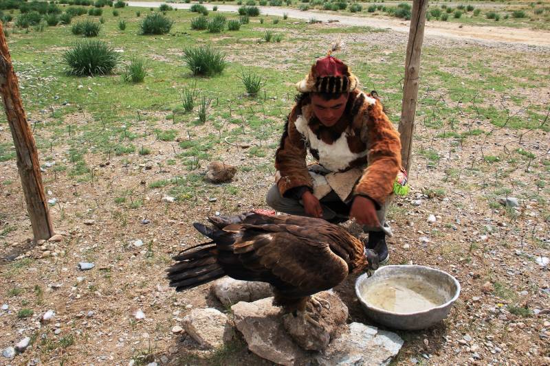 Golden Eagle Festival in Mongolia Tour