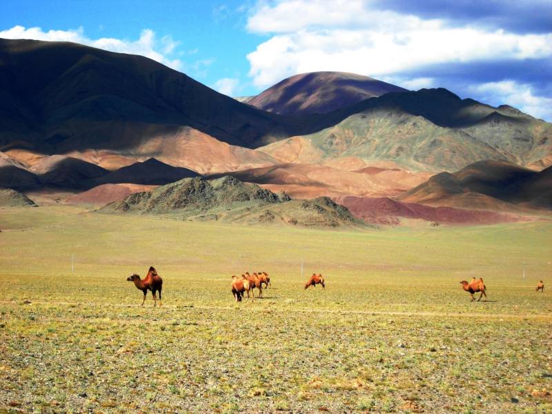Golden Eagle Festival in Mongolia Tour